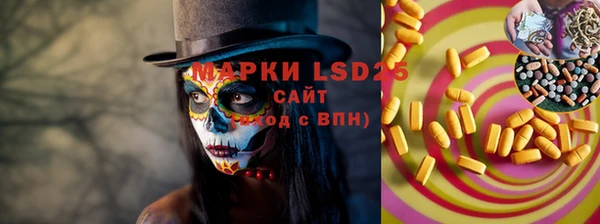прущий лед Алзамай