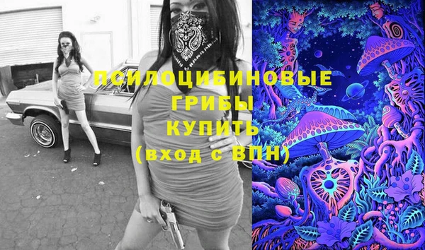 прущий лед Алзамай