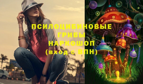 прущий лед Алзамай