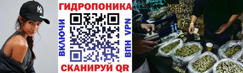 продажа наркотиков  Нижний Новгород  Бошки марихуана конопля 